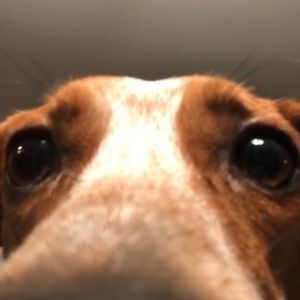 Meet your Posher, Evan